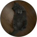 Alanah de B. profile picture